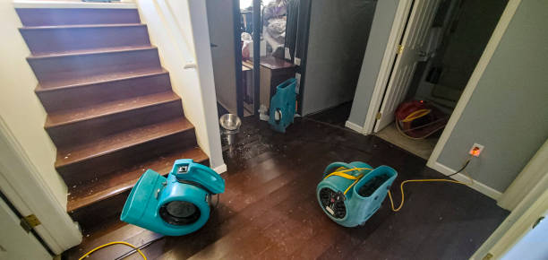 Best Residential water damage restoration  in Dunbar, WV