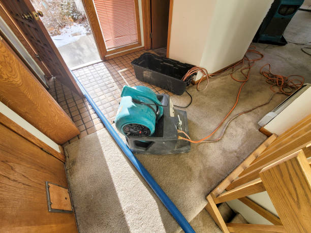 Best Mold removal after water damage  in Dunbar, WV