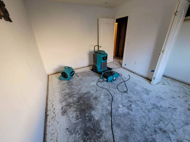 Best Ceiling water damage repair  in Dunbar, WV