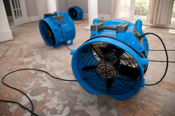 Best Water damage restoration near me  in Dunbar, WV