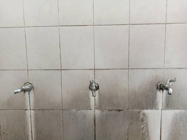 Best Water damage restoration near me  in Dunbar, WV