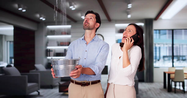 Best Basement water damage restoration  in Dunbar, WV